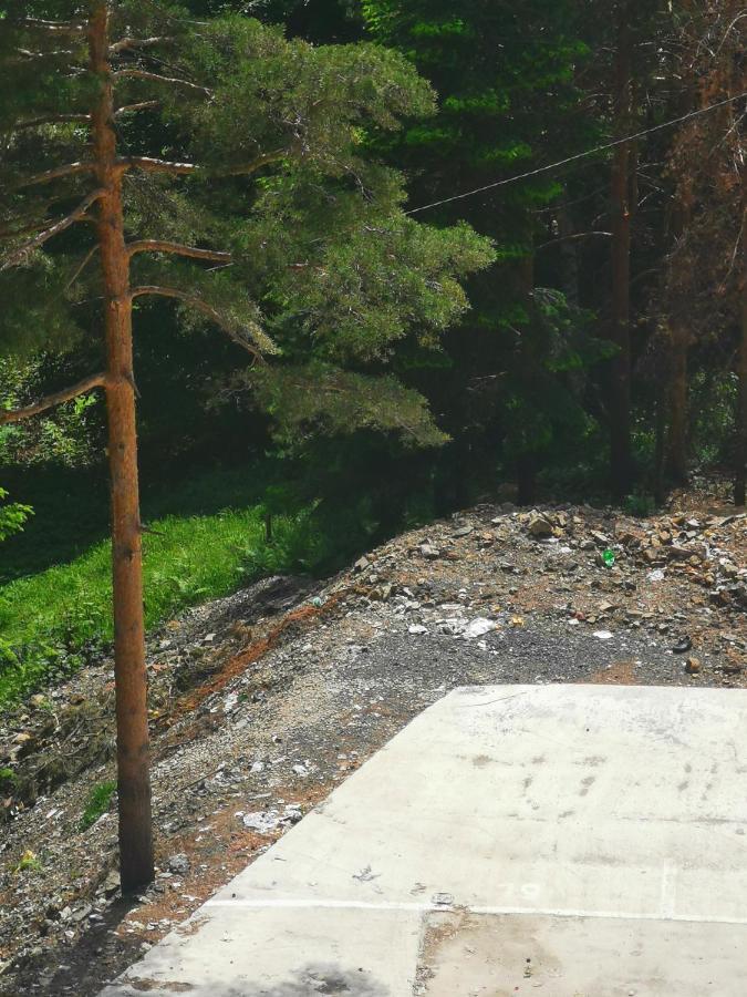 Divcibare Planinski Mir A19 Bagian luar foto